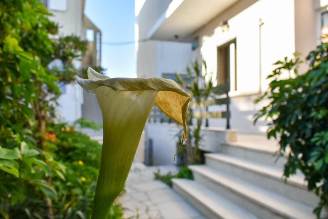 Holiday home Anastasia Mare #a# Rethymno (Crete)